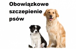 Obowiązkowe szczepienia psów w Gminie Pietrowice Wielkie