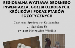 Regionalna wystawa drobnego inwentarza w Pietrowicach Wielkich.