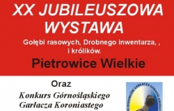 XX Jubileuszowa wystawa drobnego inwentarza, królików i gołębi rasowych, oraz konkurs gołębi Górnośląskiego Garłacza Koroniastego.