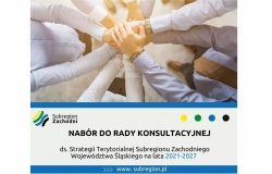 Nabór kandydatów do Rady konsultacyjnej ds. Strategii Terytorialnej Subregionu Zachodniego Województwa Śląskiego na lata 2021-2027