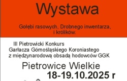 Wystawa Drobnego Inwentarza w Pietrowicach Wielkich – święto pasjonatów hodowli